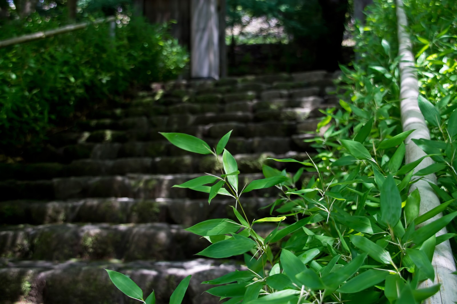 浮羽稲荷神社へのアクセスと駐車場の有無 階段数がかなりすごい 神社巡りのために